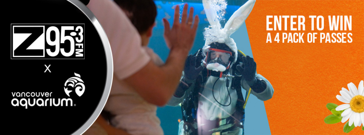 Enjoy the Long Weekend with a 4 Pack of Tickets to the Vancouver Aquarium