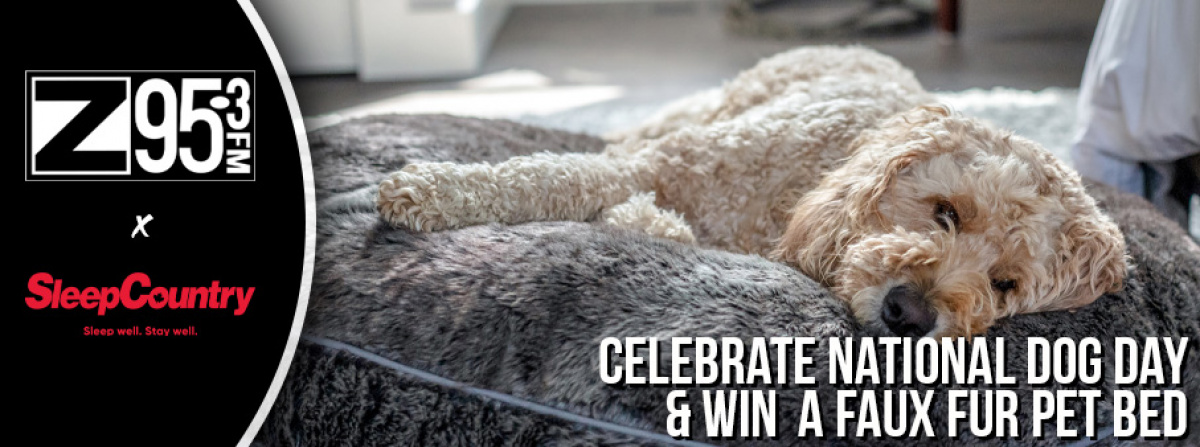 Win a Faux Fur Pet Bed from Sleep Country!