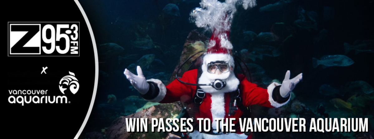 Splash Into the Holidays with The Vancouver Aquarium