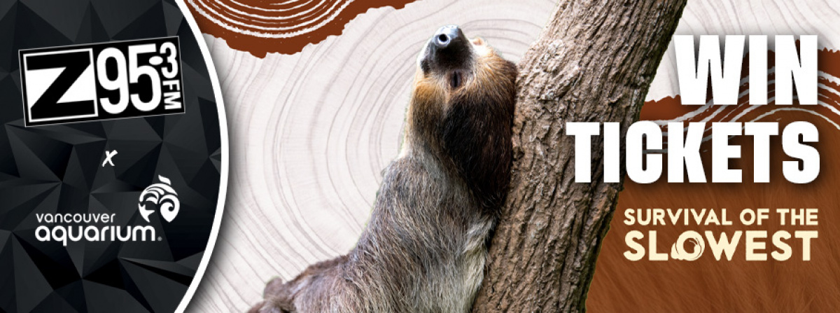 Win a 4 Pack of Tickets to the Vancouver Aquarium
